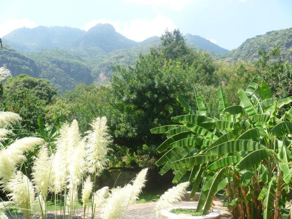 Hotel Boutique Casa De Campo 马利纳尔科 外观 照片